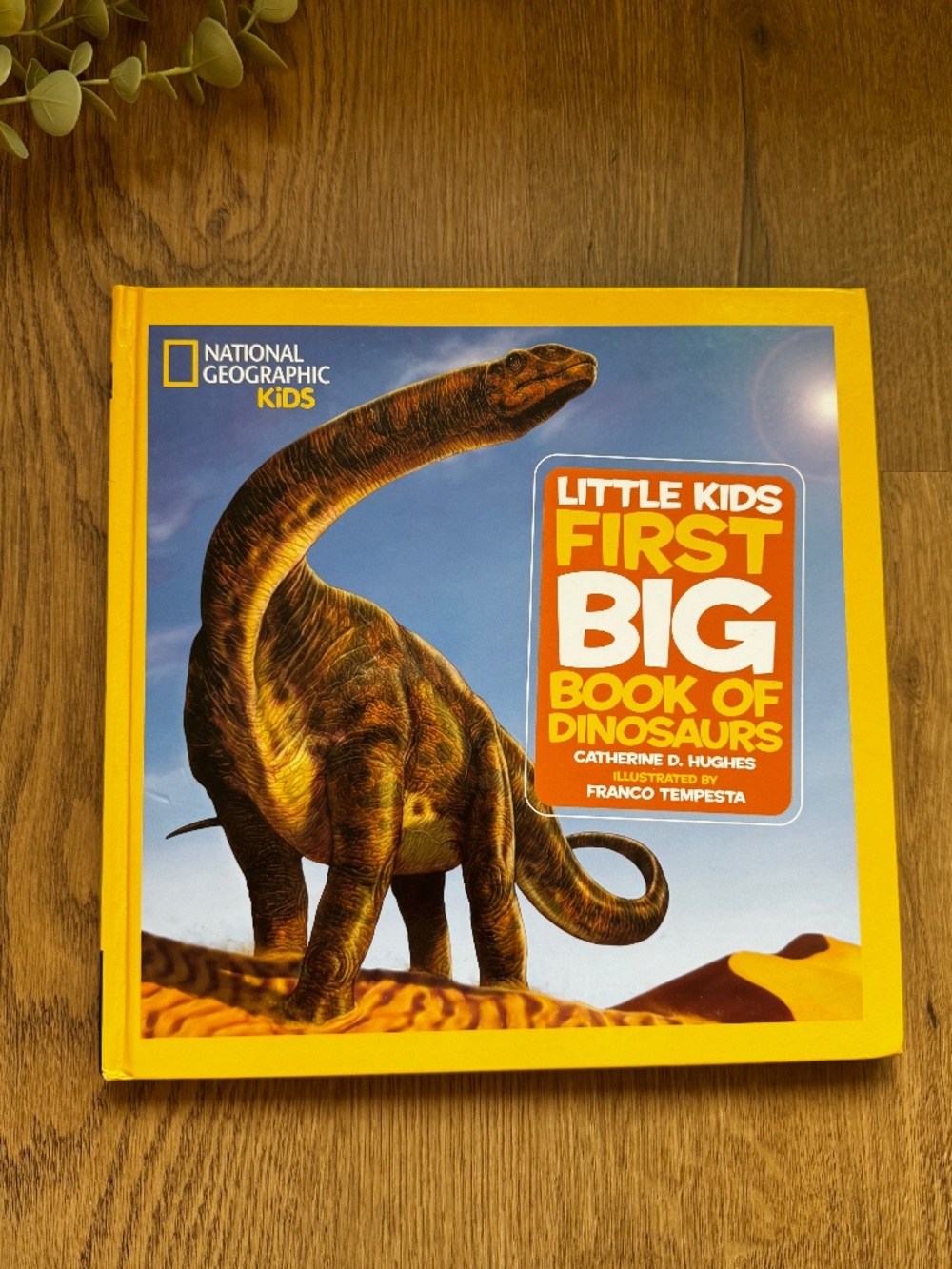 National Geographic Kids First Big Book of Dinosaurs Hardcover